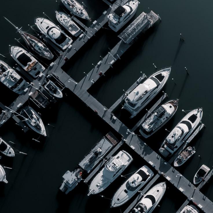Marine adventure capture